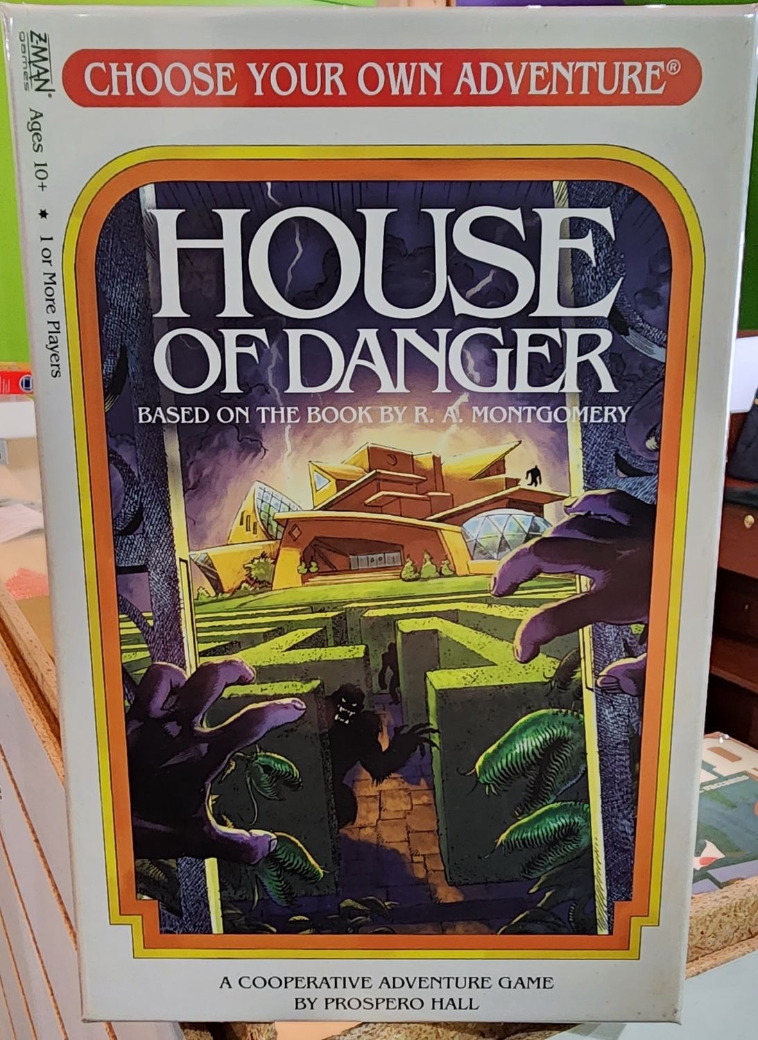 CHOOSE YOUR OWN ADVENTURE HOUSE OF DANGER