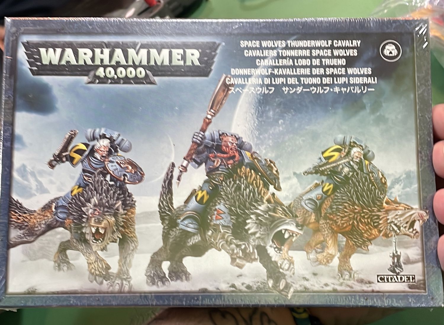 Space wolves Thunderwolf cavalry