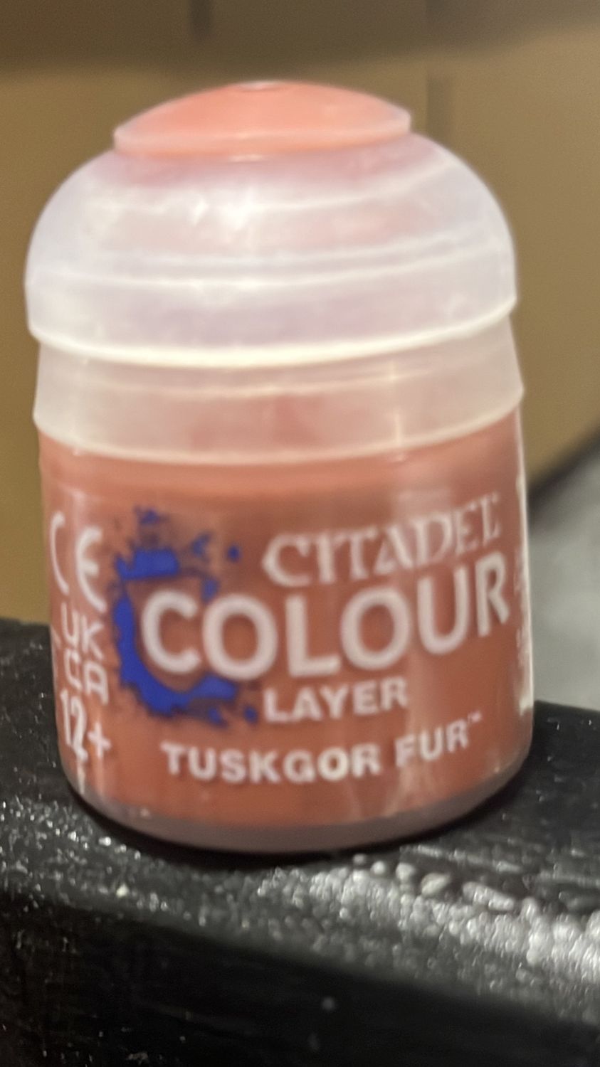 CITADEL COLOUR LAYER: TUSKGOR FUR