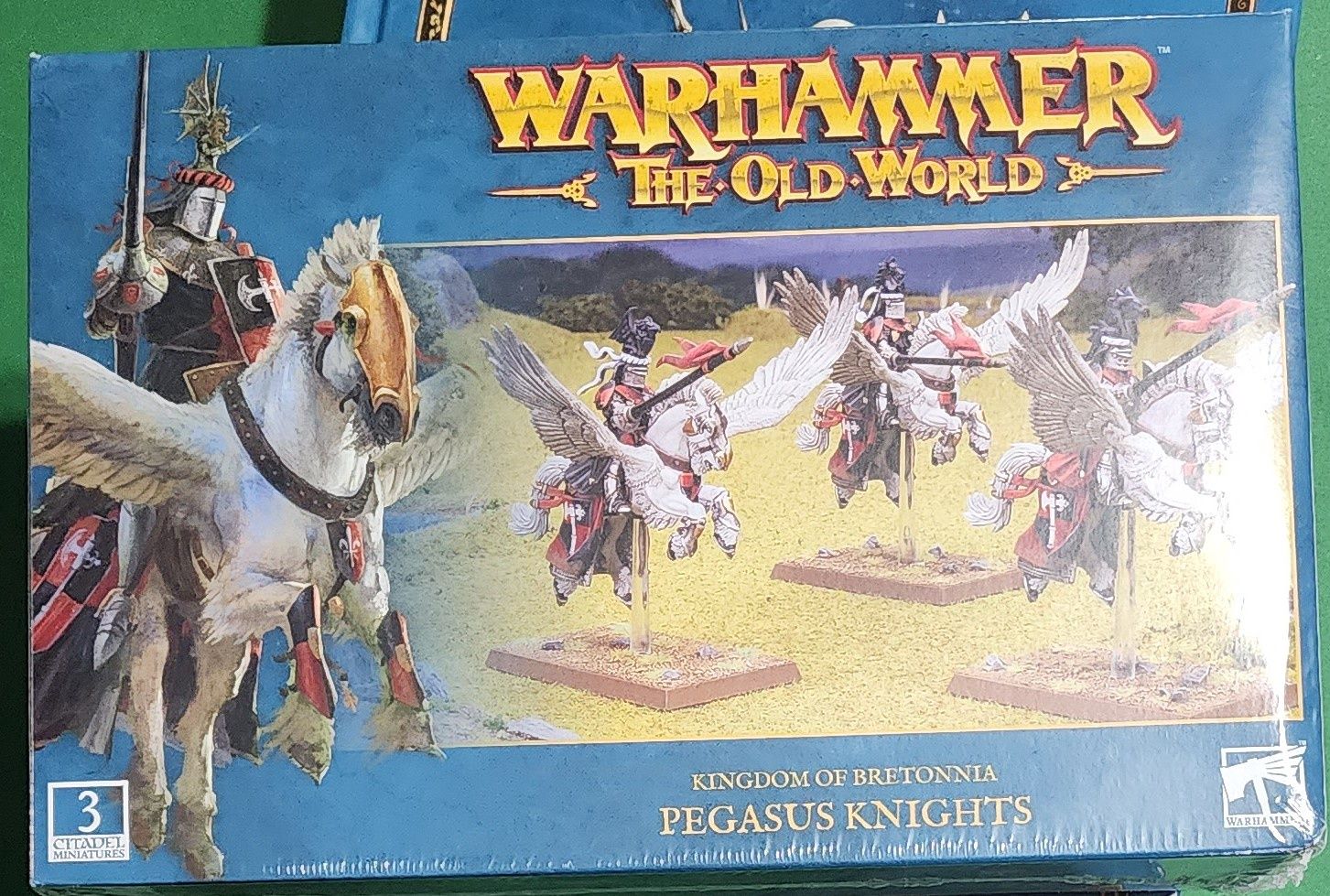 WARHAMMER THE OLD WORLD BRETONNIA PEGASUS KNIGHTS