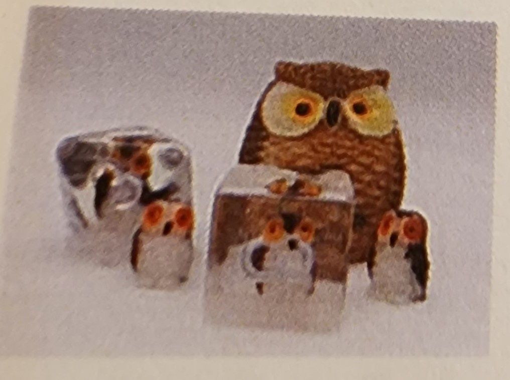 WISE OWL RPG DICE SET