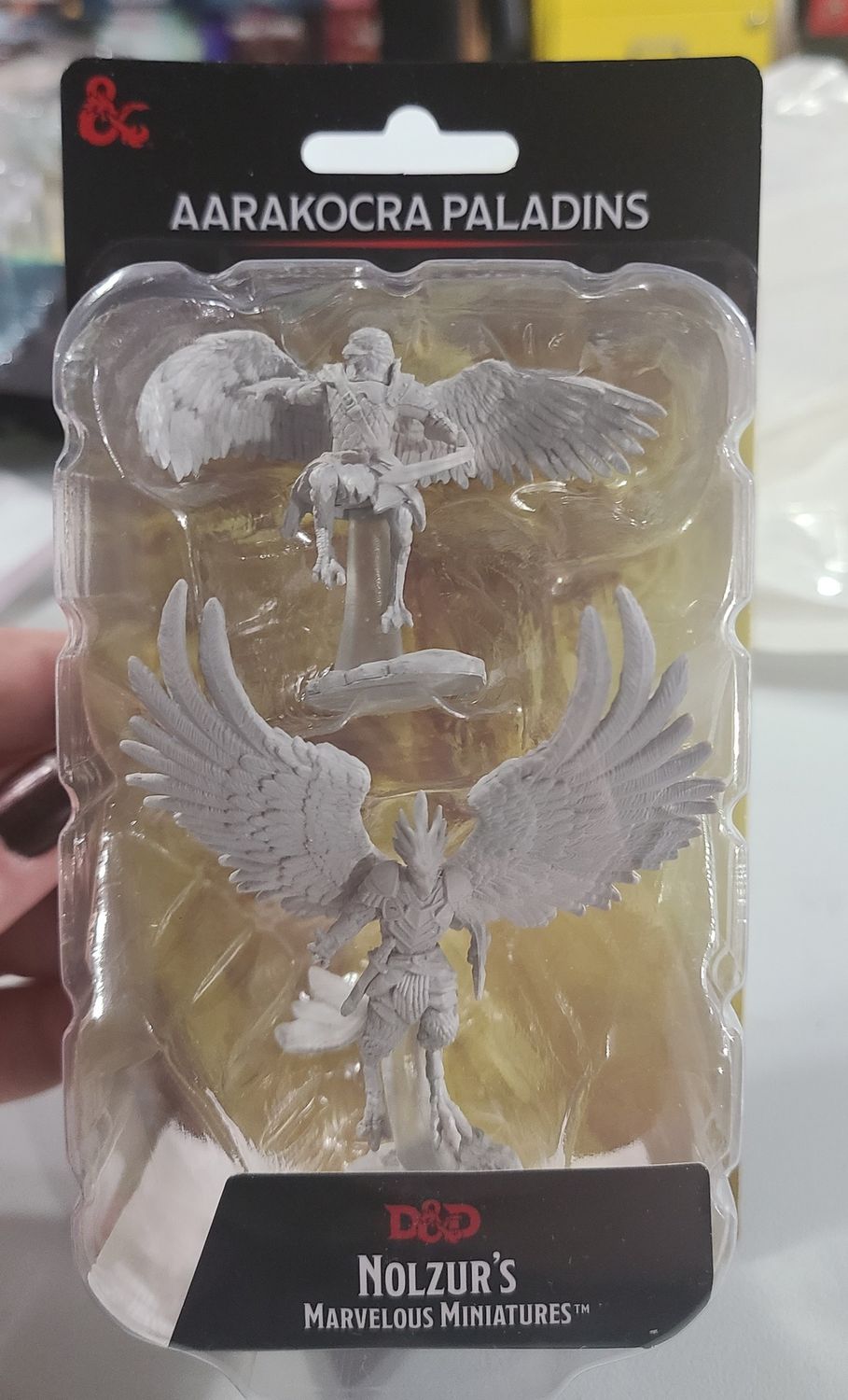 Aarakocra Paladins Minis