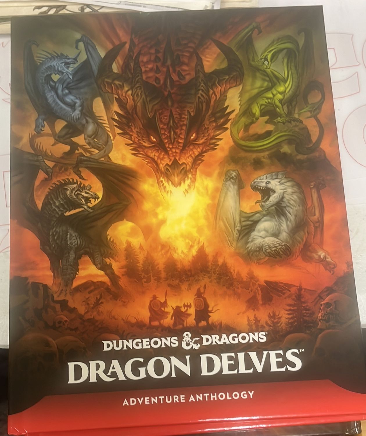 Dungeons and Dragons: Dragon Delves