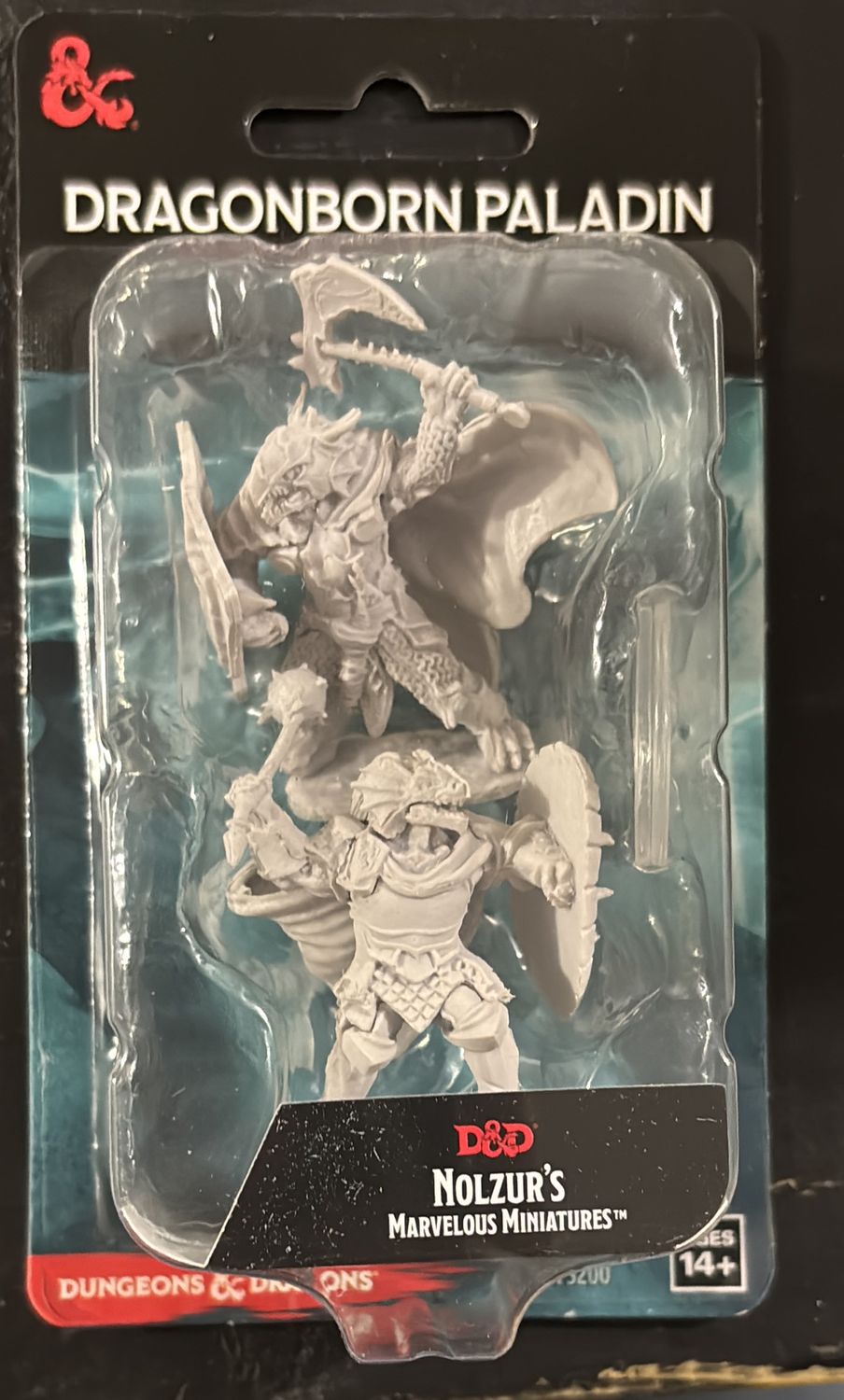 Nolzur’s Marvelous Miniatures: Dragonborn Male Paladin