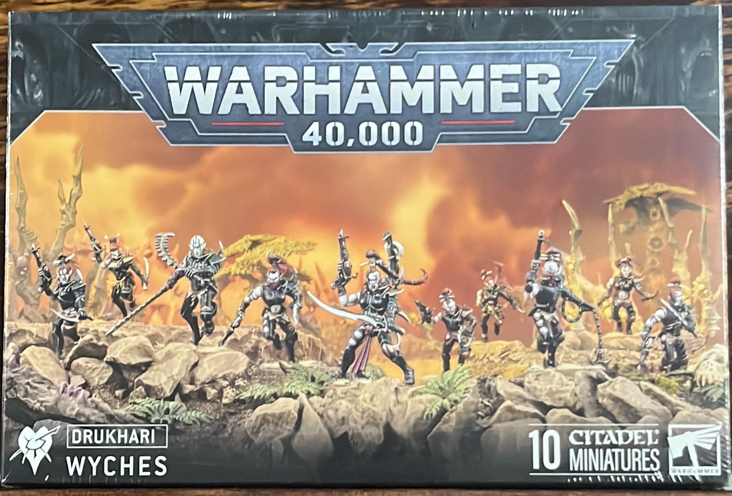 WARHAMMER 40K: DRUKHARI WYCHES