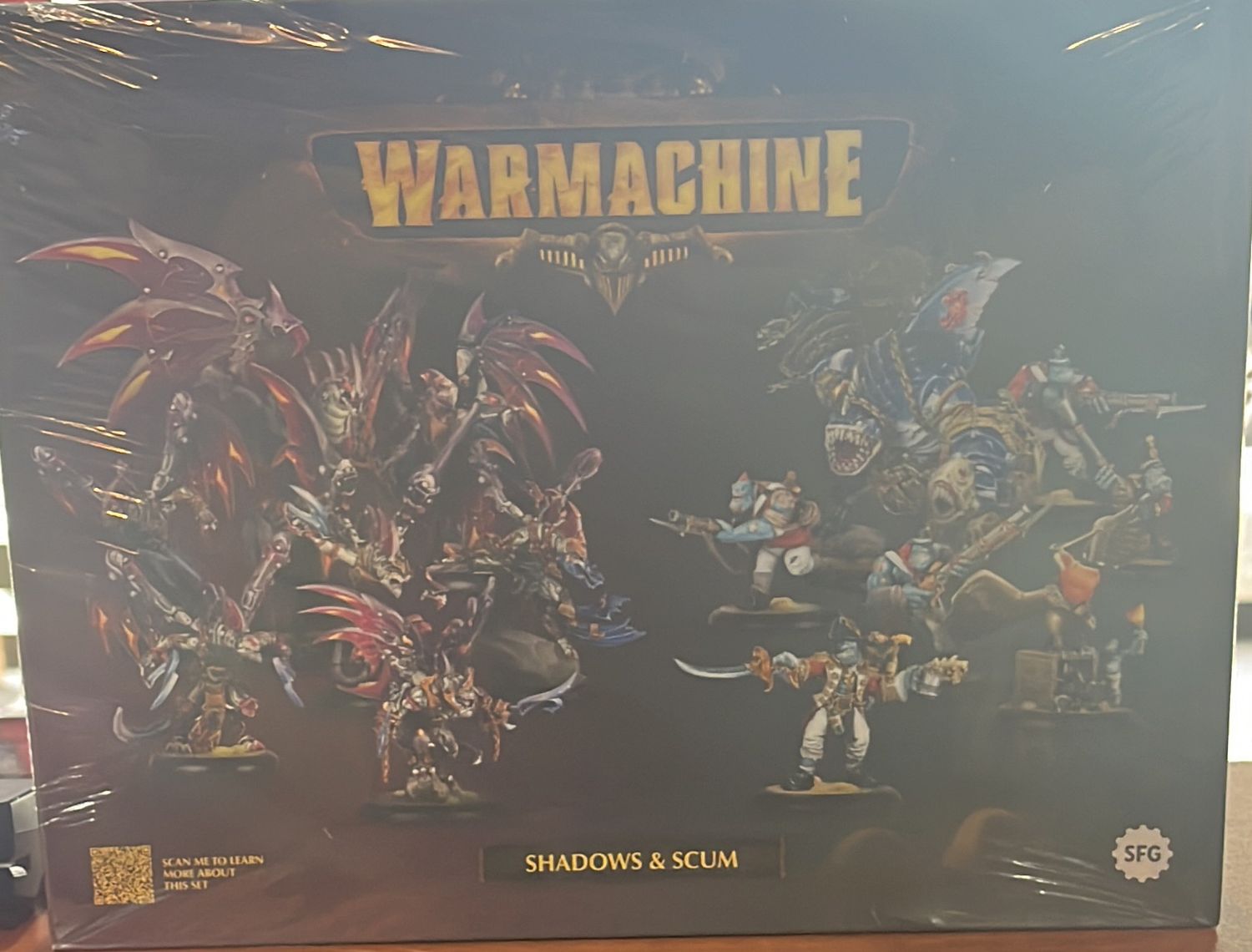 Warmachine: Shadows &amp; Scum 2 player starter set