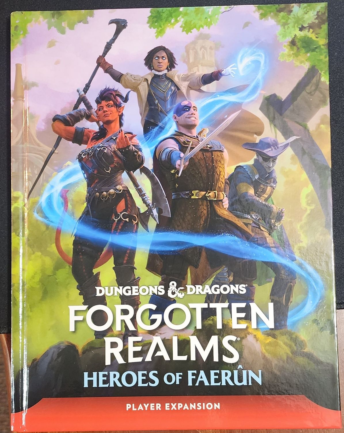 DUNGEONS &amp; AND DRAGONS  FORGOTTEN REALMS HEROES OF FAERUN