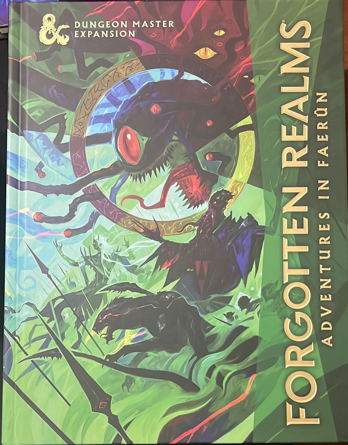 Dungeons and Dragons Forgotten Realms DM Expansion 