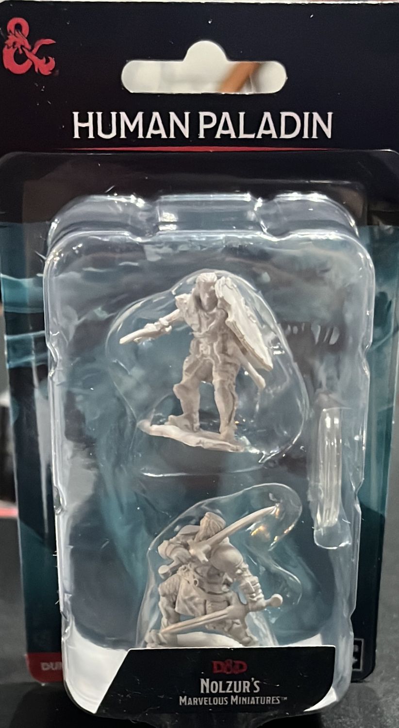 D&amp;D Miniature Nolzur’s unpainted - Human Paladin