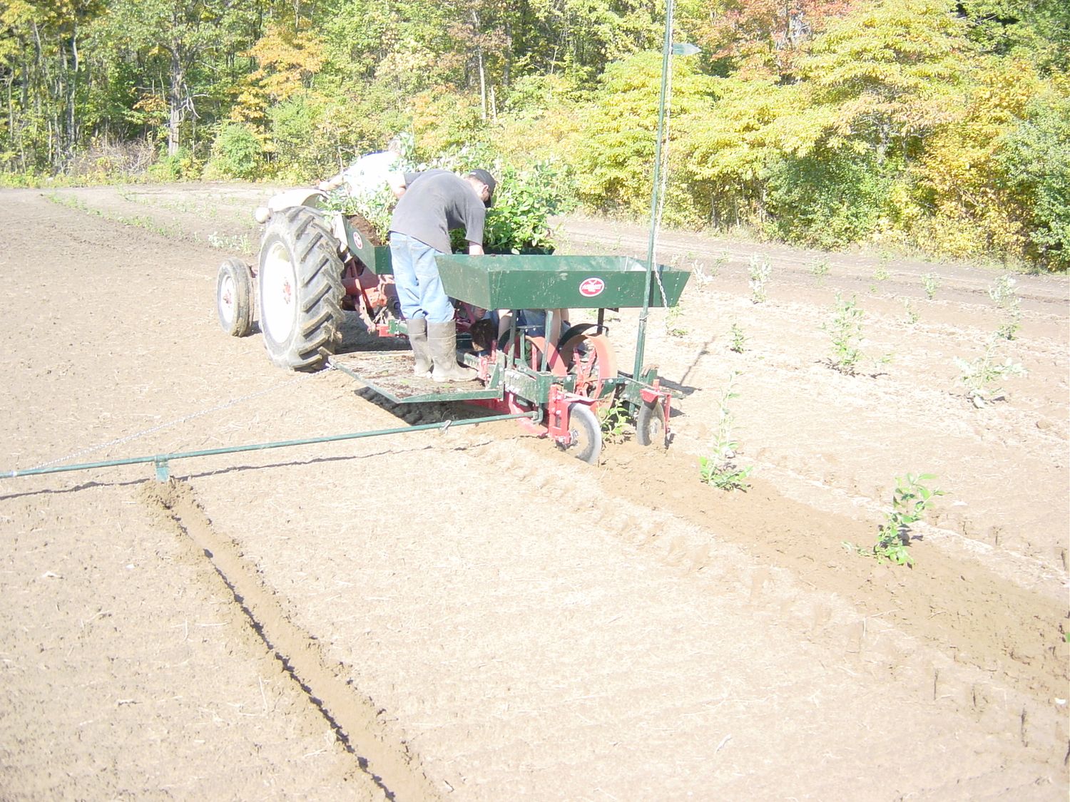 1525 Old Faithful Hand Planter