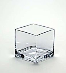 Cube Vase - 5H X 5 X 5  50P