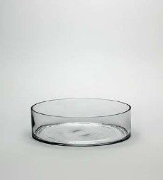 Cylinder Vase - 3H X 10  48P
