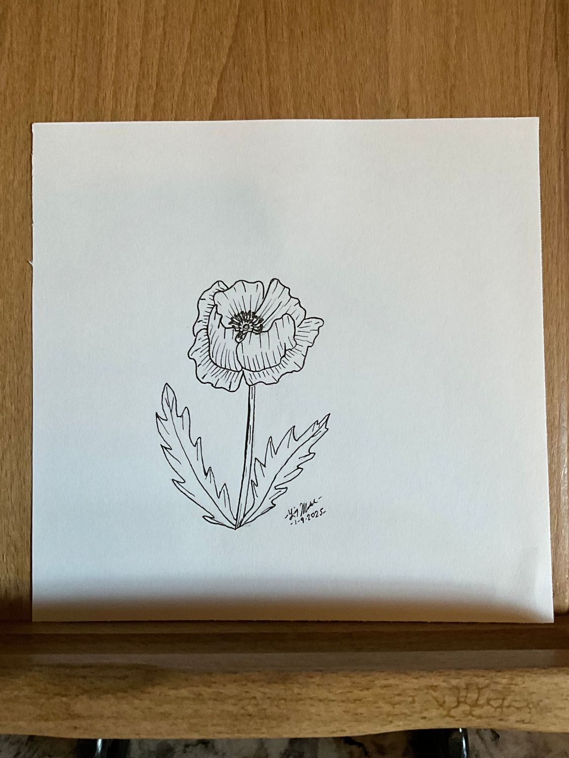 Poppy Flower