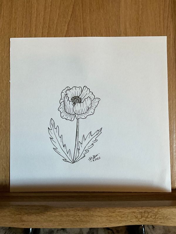 Poppy Flower