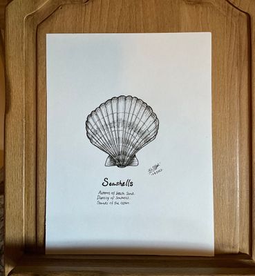 Seashells