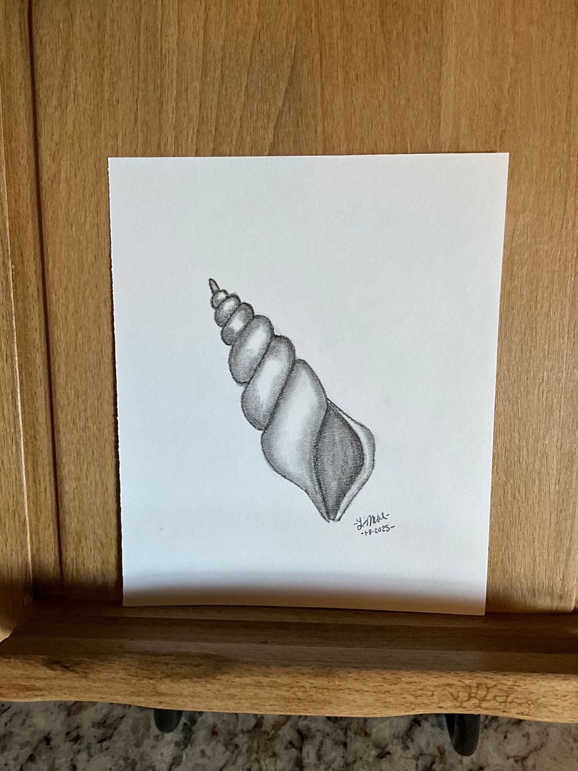 Spiral Seashell