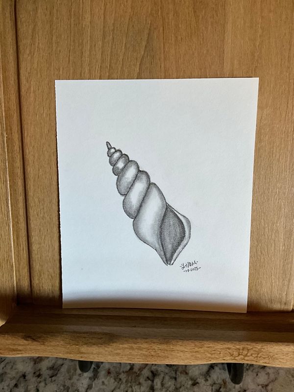 Spiral Seashell