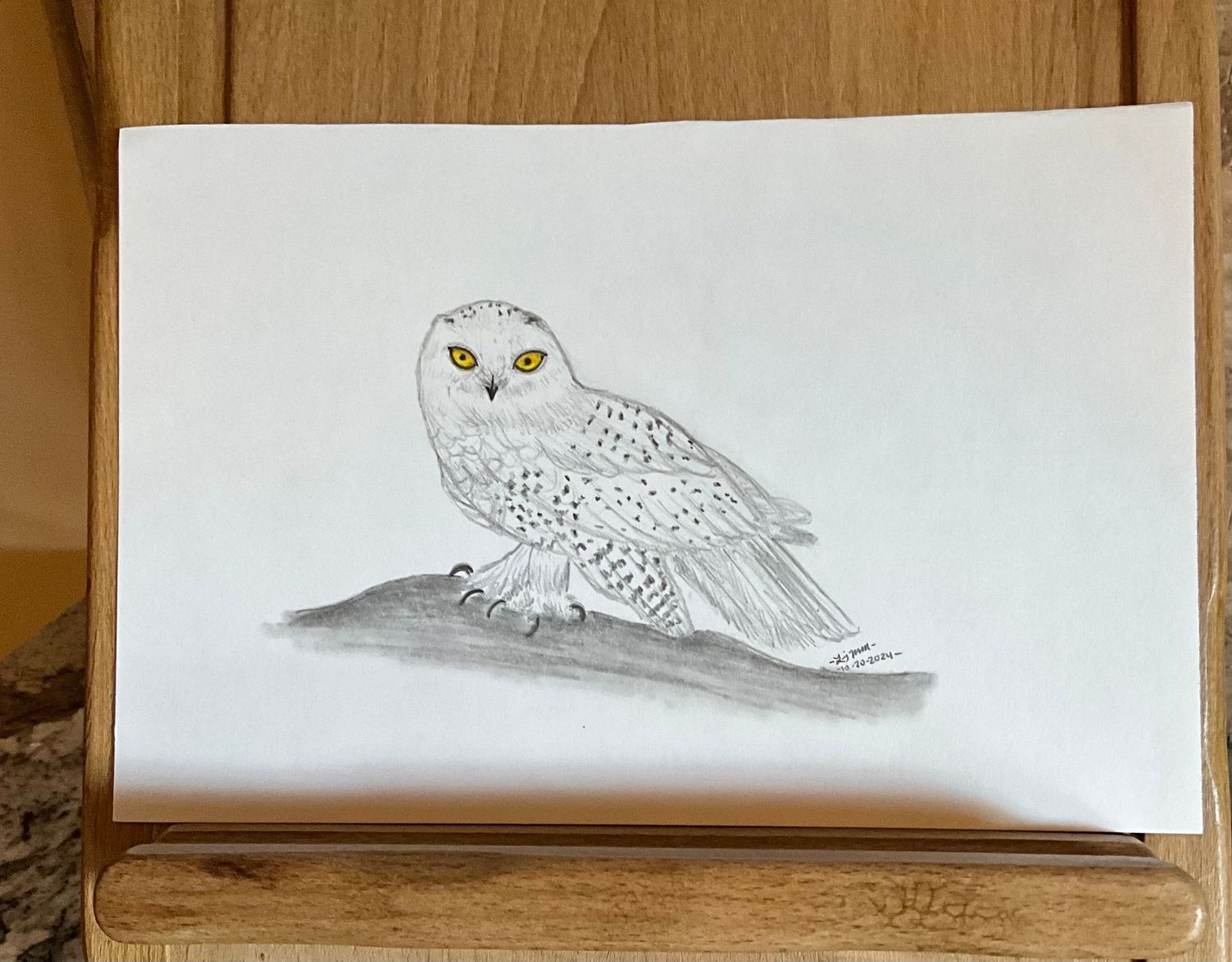 Snowy Owl