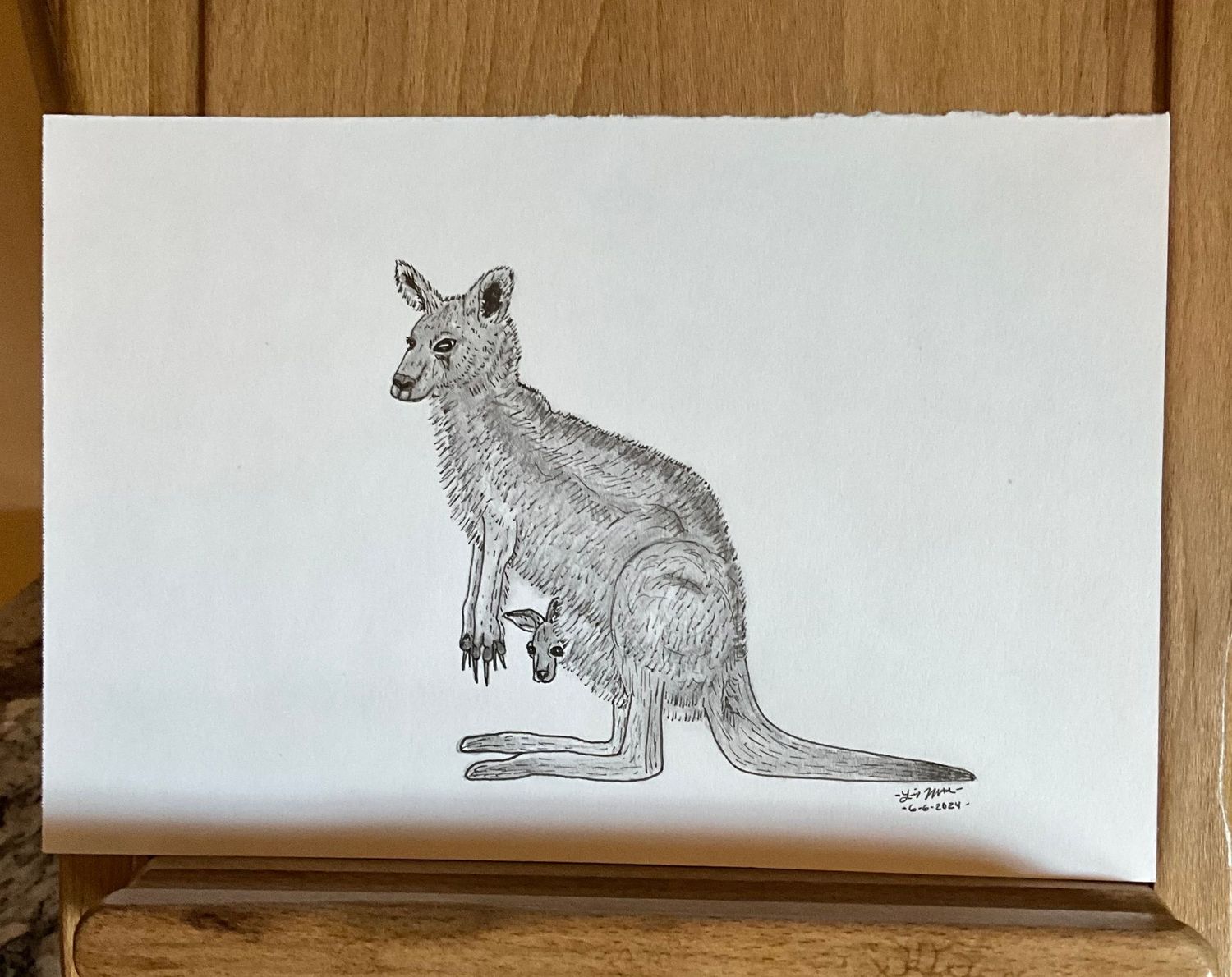 Kangaroo with  her Joey