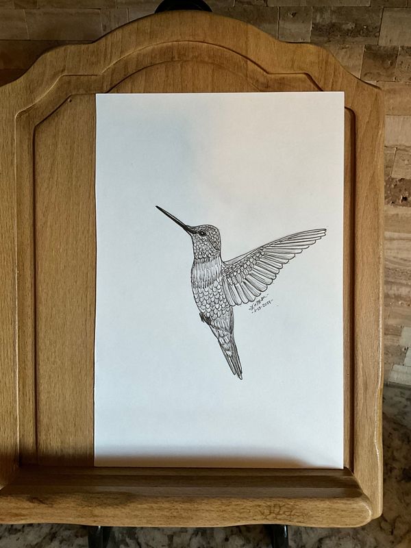 Hummingbird Flying