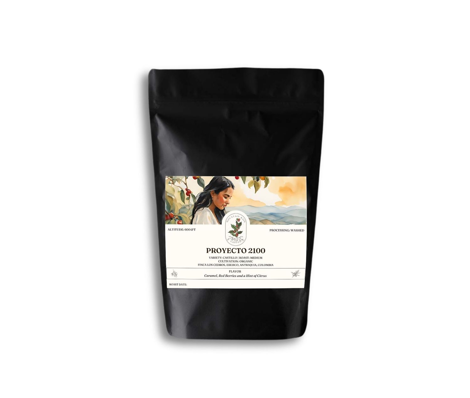 Proyecto 2100 (Roasted)
