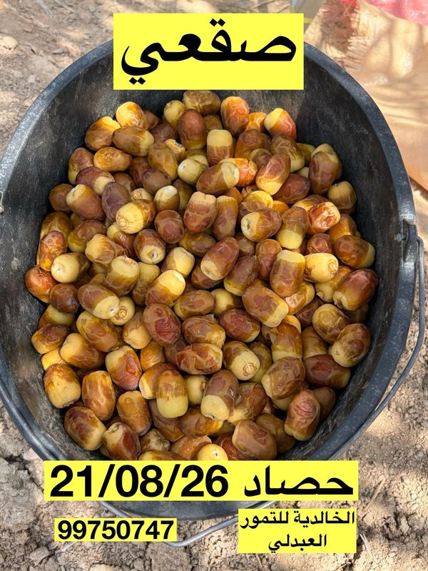 رطب صقعي