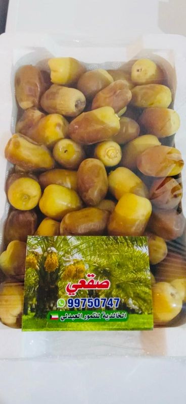 رطب صقعي