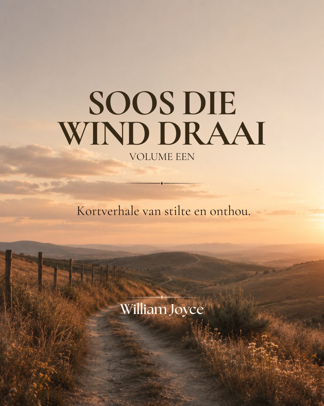SOOS DIE WIND DRAAI: Verhale van stilte en onthou