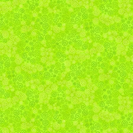 Sprinkles - Lime