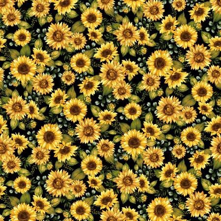 Seeds of Gratitude - Large Sunflowers on Black