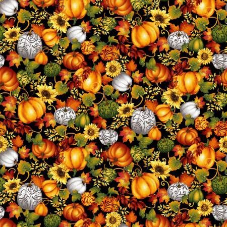 Seeds of Gratitude - Multi Pumpkins on Black
