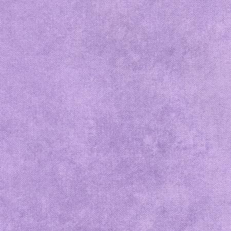 Shadow Play - Violet Tulip
