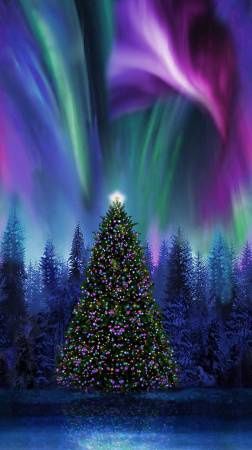 Winter Solstice - Multi Color X-Mas Tree Under Aurora Borealis Panel