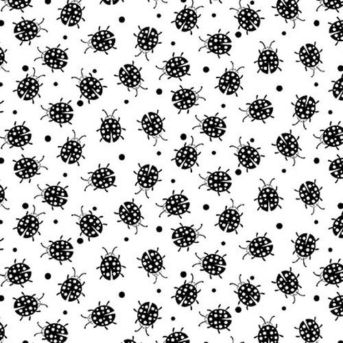 Paradox - Ladybugs