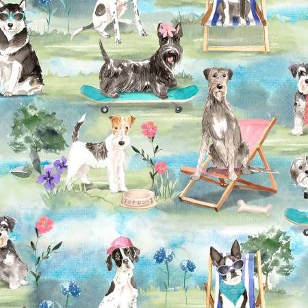 A Dogs Life Dog Park - 50% Off!
