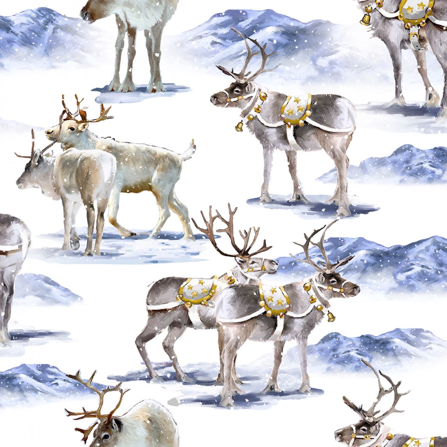 Here Comes Santa - Reindeer on White