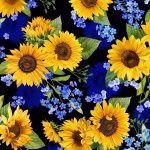 Summer Sunflowers - Sunflower Blooms on Black