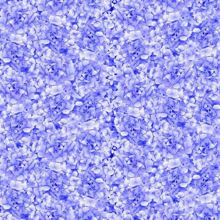 Hydrangea Bliss - Blue Packed Hydrangea Petals