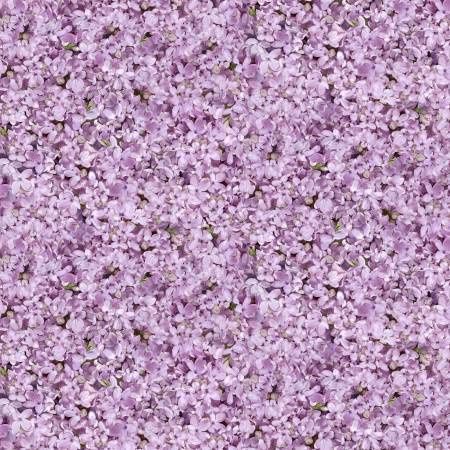 Lavender Florals