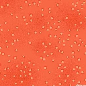 Droplets - Orange