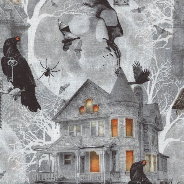 Full Moon Fright Night in Shadow
