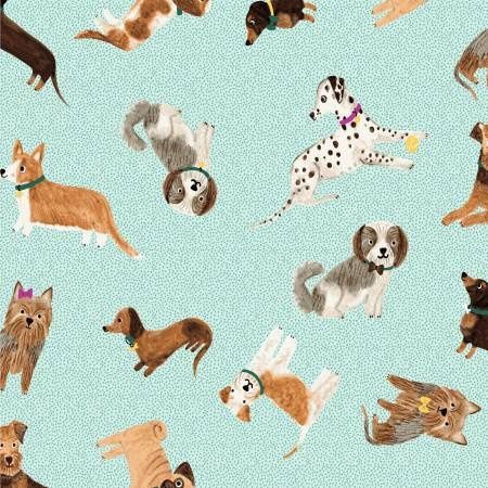 Uptown Dogs on Aqua - 50% Off!