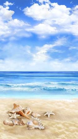 Beach Comber - Panel