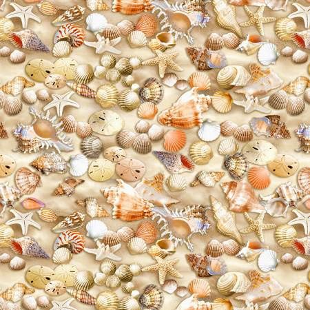 Beach Comber - Shells