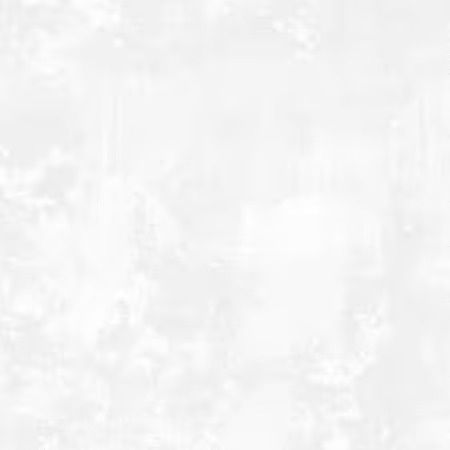 Dry Brush in White 108&quot; Wide Width Backing