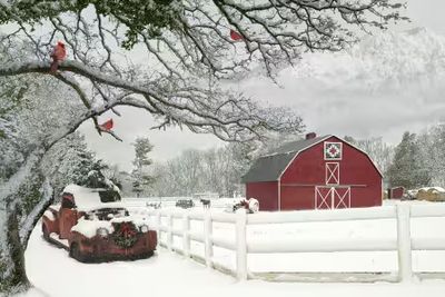 Christmas &amp; Winter
