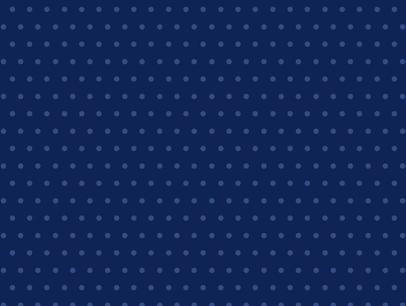 ANESH 2025 Fabric Collection - Navy Dots
