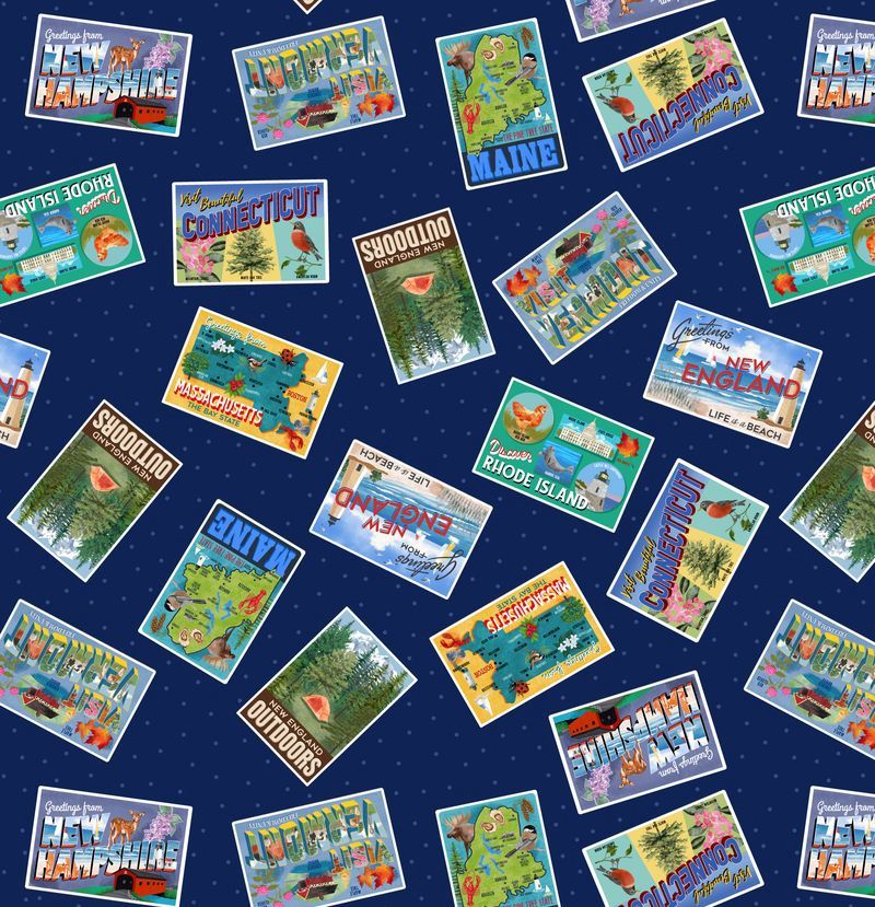 ANESH 2025 Fabric Collection - NE Postcards Navy