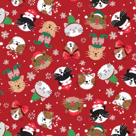 Festive Kittens