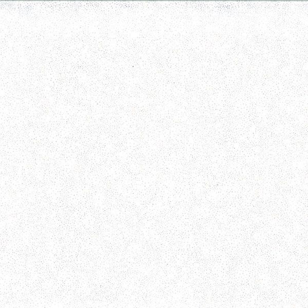 White with Silver Metallic Dots